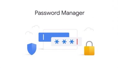 169941774906-google-password-manager