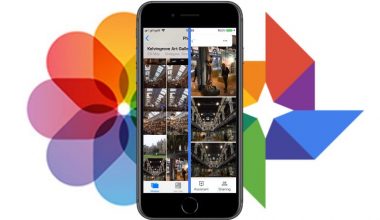 233038290113-How-to-transfer-photos-from-Google-Photos-to-iCloud